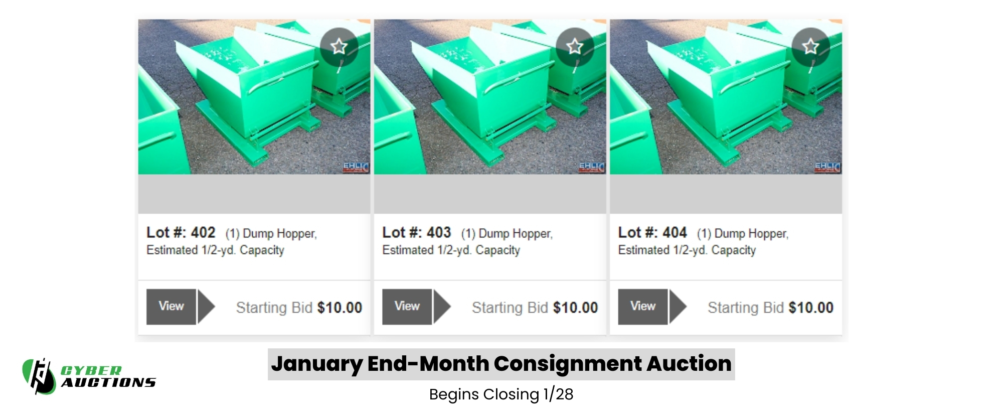 Copy of January End Month Consignment Auction (3)